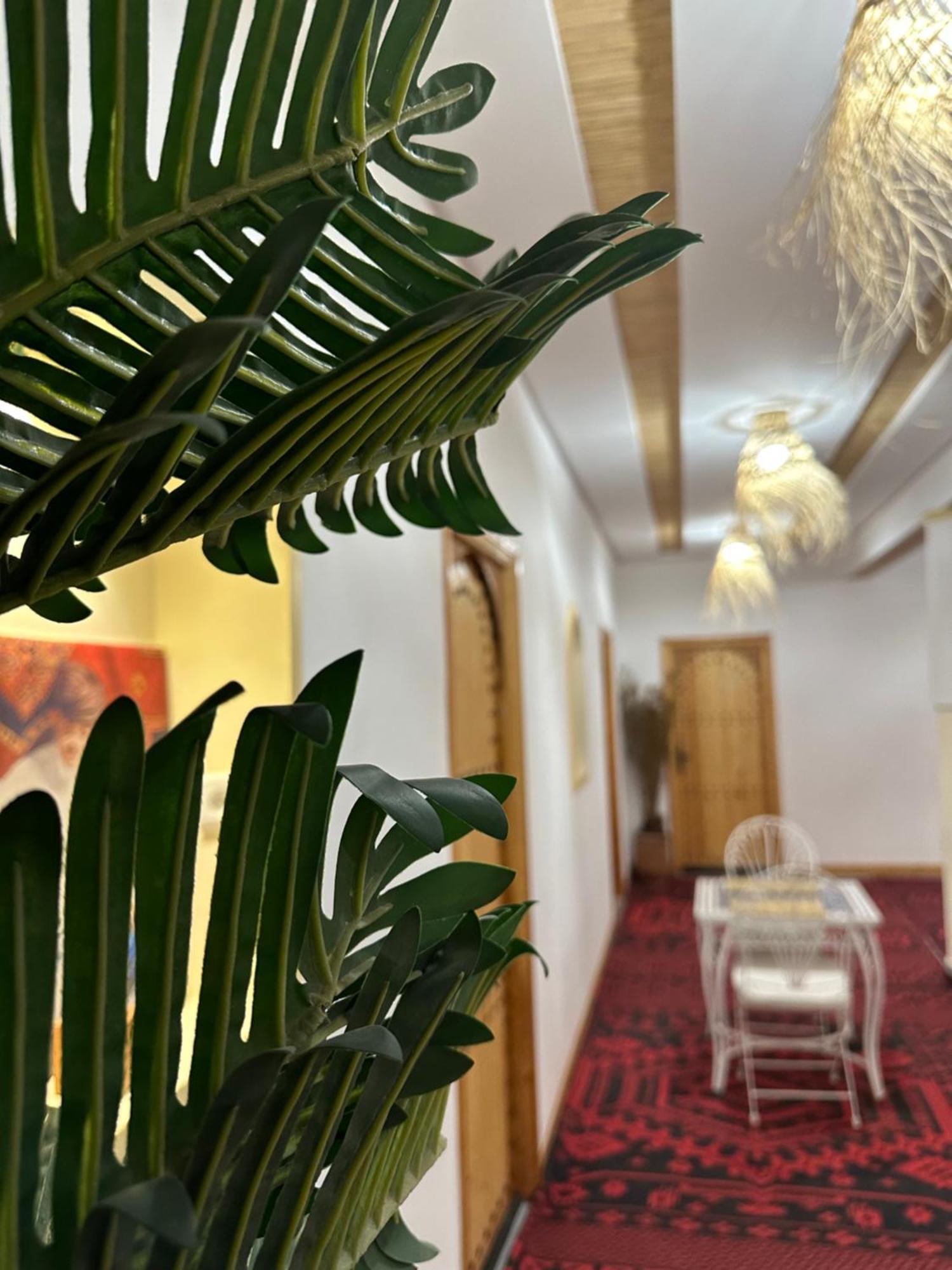Riad Dreams Dades Tamellalt  Extérieur photo